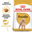 ROYAL CANIN Poodle Adult 15 kg (2 x 7,5 kg) sausas maistas suaugusiems pudeliems