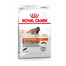 ROYAL CANIN Sporting Life Trial  sausas maistas suaugusiesiems, labai aktyviems, darbiniams šunims 30 kg (2 x 15 kg)