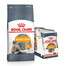 ROYAL CANIN Hair&Skin Care 10 kg + märgtoit tarrendis Intense Beauty 12 x 85 g