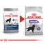 ROYAL CANIN CCN Maxi Sterilised sausas maistas suaugusių didelių, sterilizuotų veislių šunims 18 kg (2 x 9 kg)