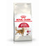 ROYAL CANIN REGULAR FIT 32 20 kg (2 x 10 kg) sausas maistas suaugusioms katėms, palaikantis jų puikią fizinė būklę