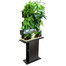 AQUAEL seinamoodul versa garden plus