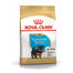 ROYAL CANIN Yorkshire terrier junior 15 (2 x 7.5 kg) sausas maistas šuniukams iki 10 mėnesių, Jorkšyro terjerai