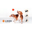 LIKER Dog toy koera pall 7 cm