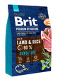 BRIT Premium By Nature Sensitive Lamb & Rice 3 kg