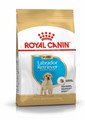 Royal Canin Labrador Retriever Junior 12 kg kutsikatele anda kõiki vajalikke toitaineid, et edendada nõuetekohast kasvu ja üldist tervist.