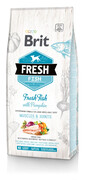 Fresh fish with pumpkin adult large 12 kg