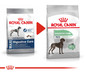 ROYAL CANIN Maxi Digestive Care 10 kg