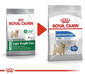 ROYAL CANIN CCN Mini Light Weight Care kuivtoit täiskasvanud koertele, väikestele tõugudele kalduvusega ülekaalulisusele 8 kg