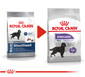 ROYAL CANIN Maxi Sterilised 10 kg