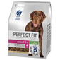 PERFECT FIT Adult 1+ Täistoit suurt tõugu täiskasvanud koertele, rikkalik kanaliha, 2,6 kg