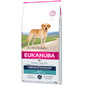 Eukanuba täiskasvanud tõugudele Labradori retriiver 12 kg Kanalihaga