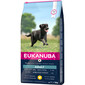 EUKANUBA Active Adult Large Breed 18 kuu kuni 6-aastastele suurtele koertele rohkelt kanaga 15 kg