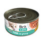 BRIT Care Cat Real Tuna in Gravy 80 g filety z tuńczyka w bulionie, mokra karma dla kotów