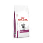 ROYAL CANIN Veterinary Diet Feline Renal 400g toit neerupuudulikkusega kassidele