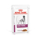 ROYAL CANIN Dog Early Renal 12 x 100 g märgtoit neeruprobleemidega koertele