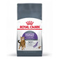 ROYAL CANIN Indoor Apetite Control 400 g kuivtoit täiskasvanud tubastele kassidele